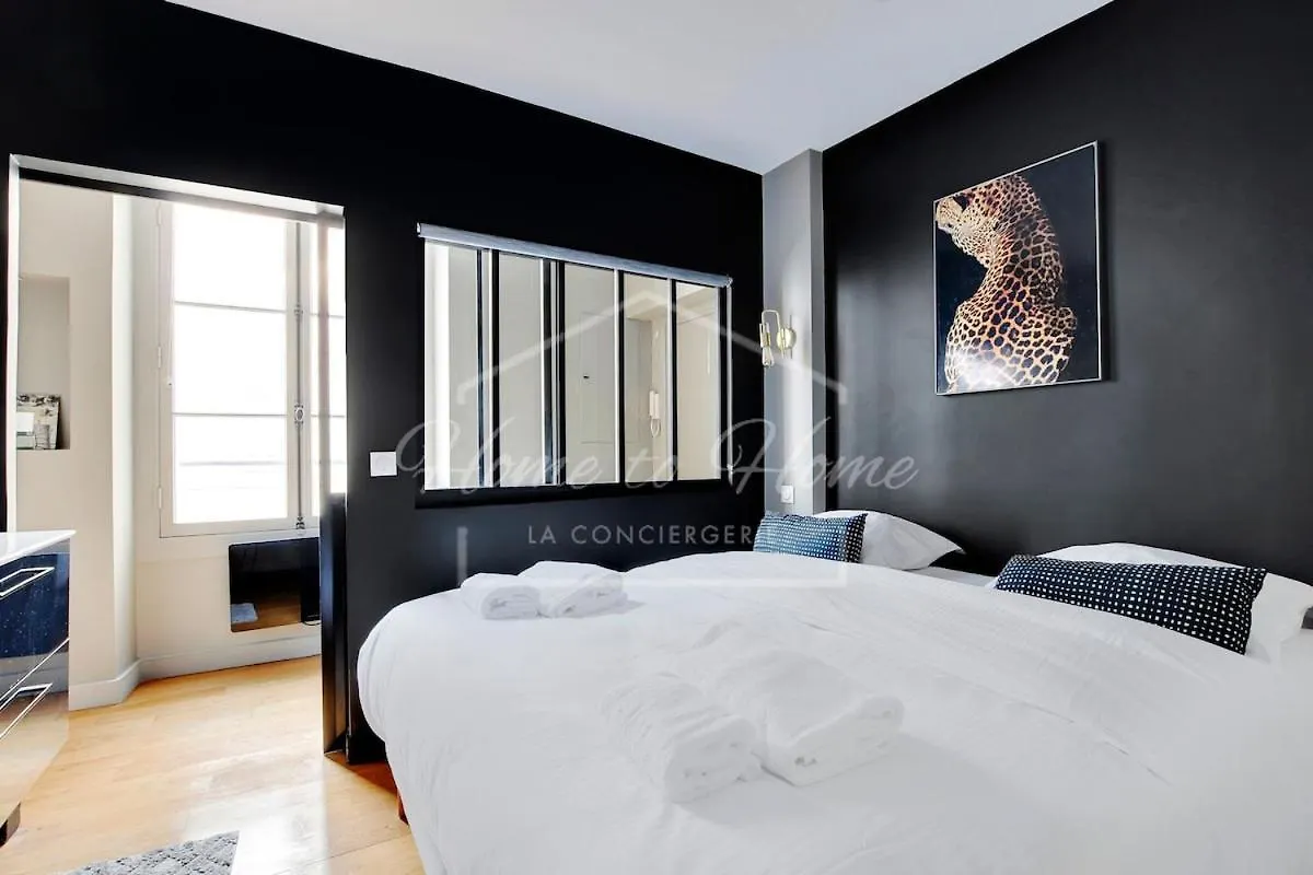 Rivoli Street - Tuileries Garden - Luxury Comfort Paris France